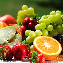 绿色食品水果电商,绿色食品水果电商生产厂家,绿色食品水果电商价格